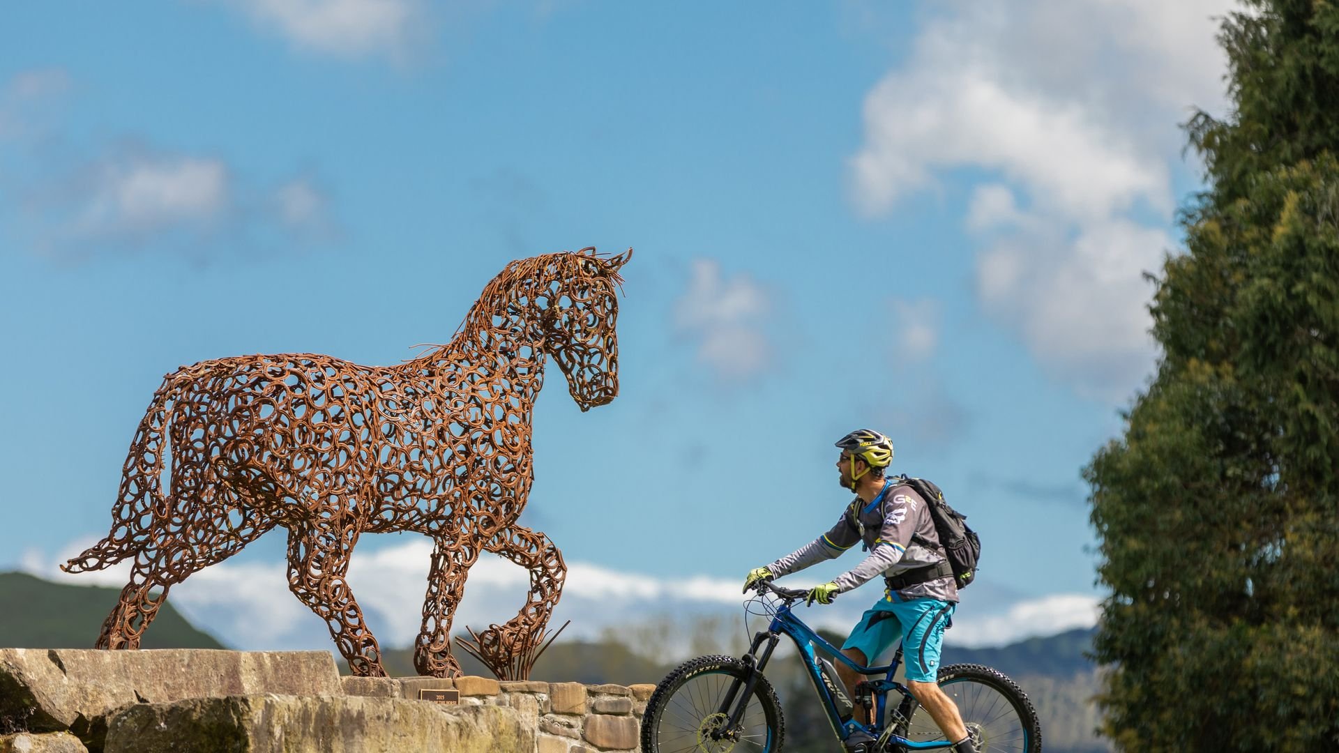 A cyclist On The Fishers Track Trail - Visit Ruapehu.jpg